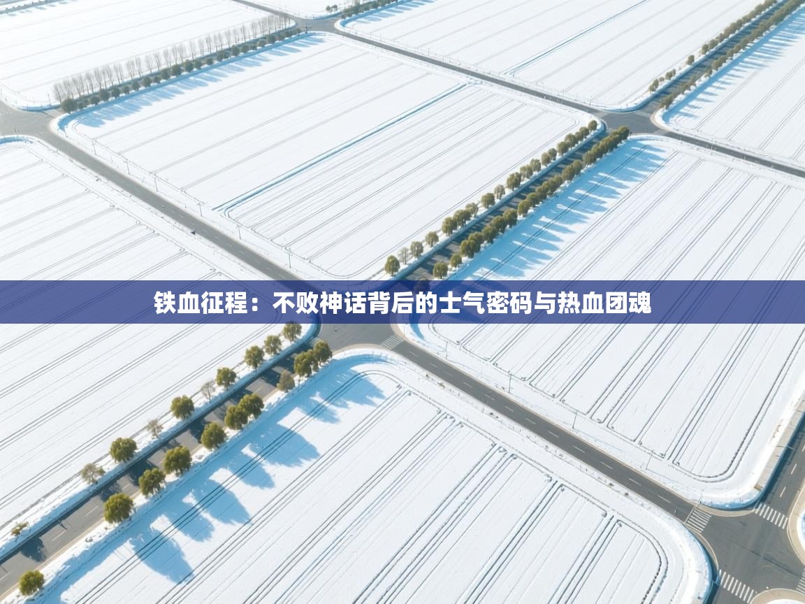 铁血征程：不败神话背后的士气密码与热血团魂  第2张