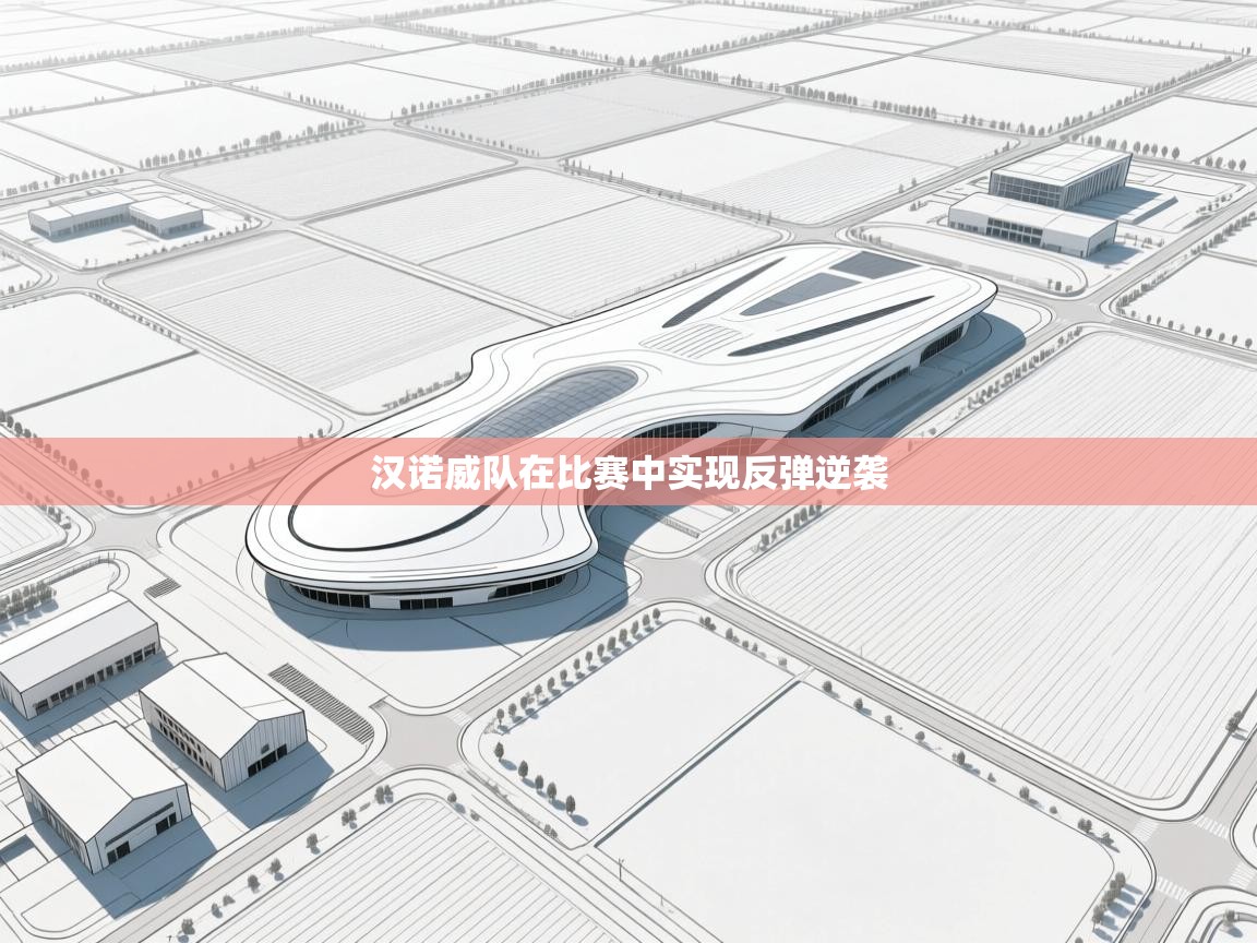 汉诺威队在比赛中实现反弹逆袭  第1张