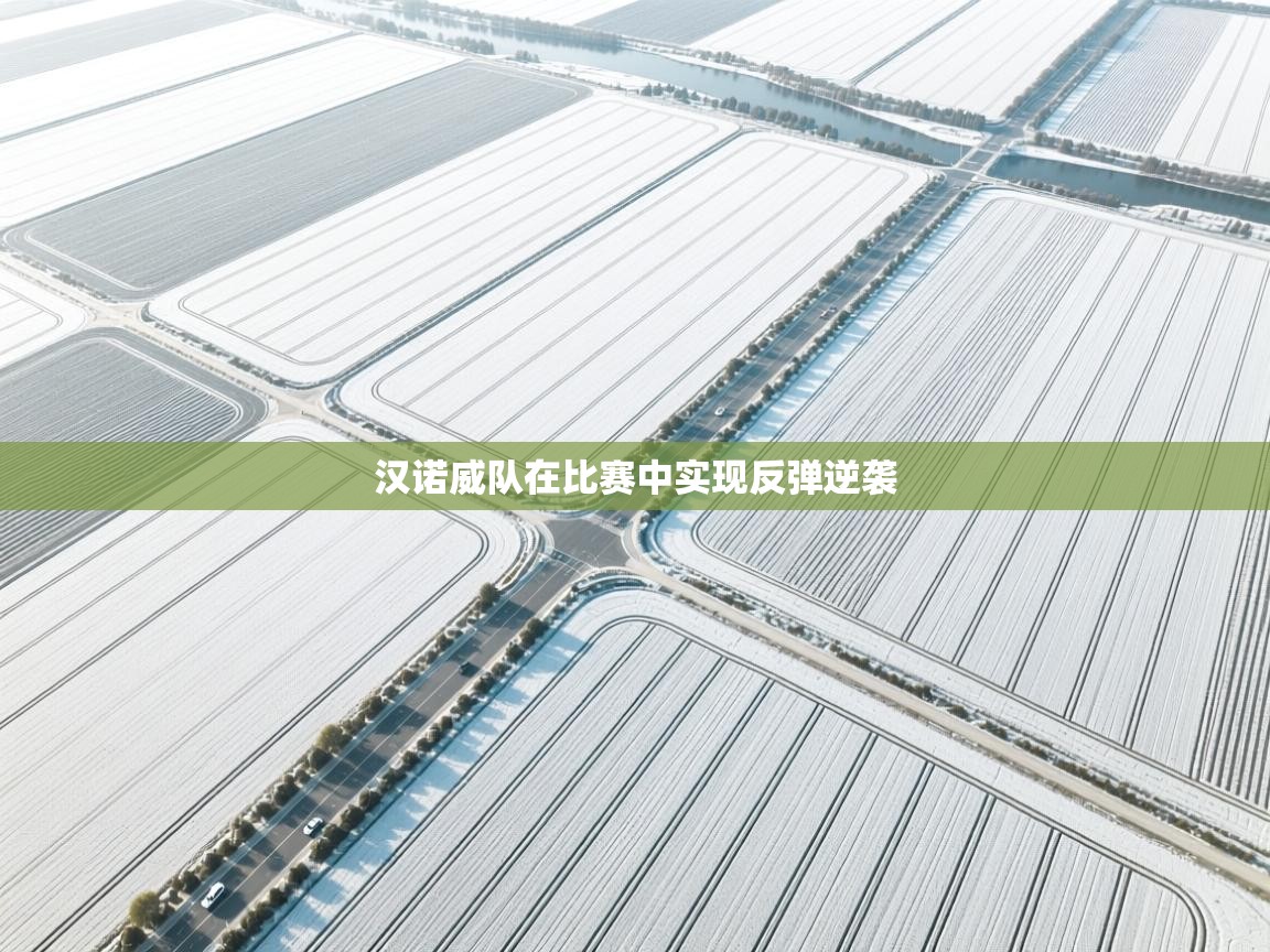 汉诺威队在比赛中实现反弹逆袭  第2张