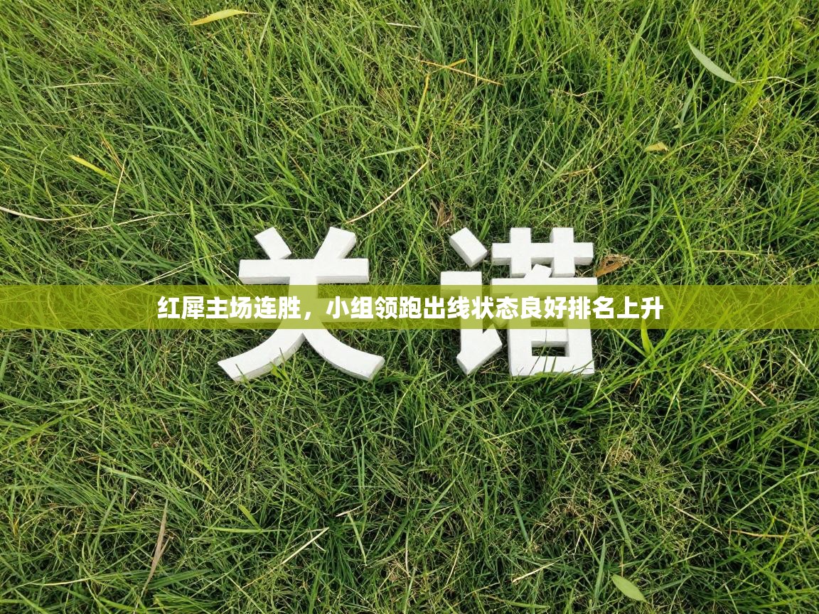 红犀主场连胜,小组领跑出线状态良好排名上升 第1张